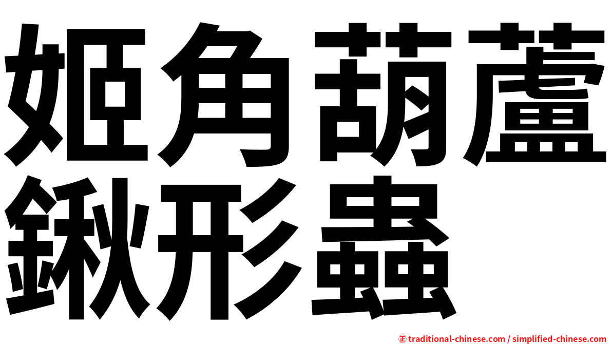 姬角葫蘆鍬形蟲