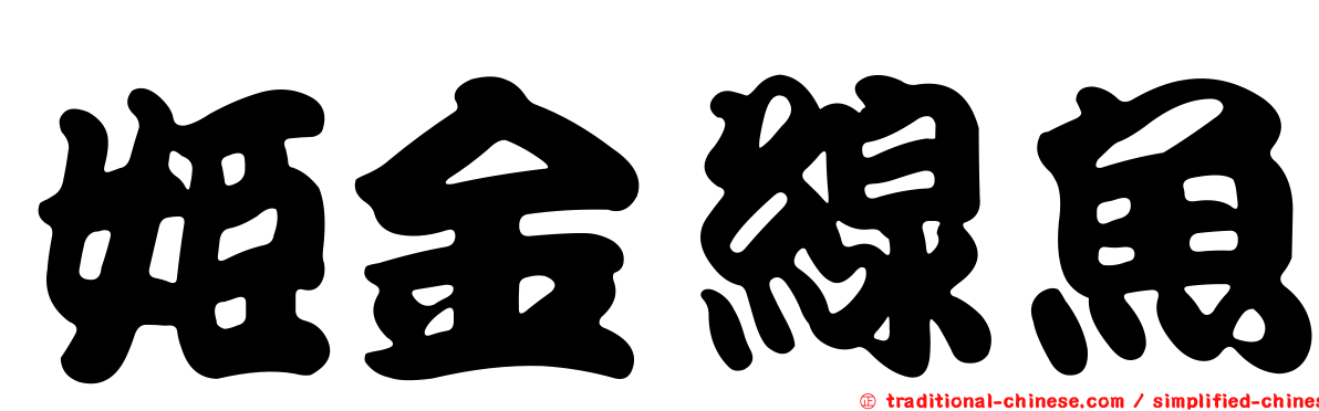 姬金線魚