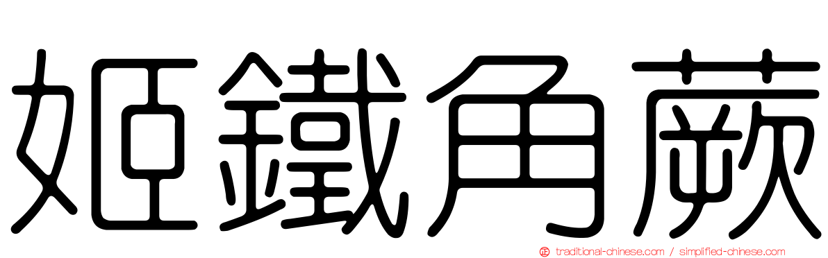 姬鐵角蕨