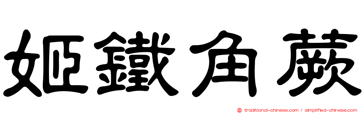 姬鐵角蕨