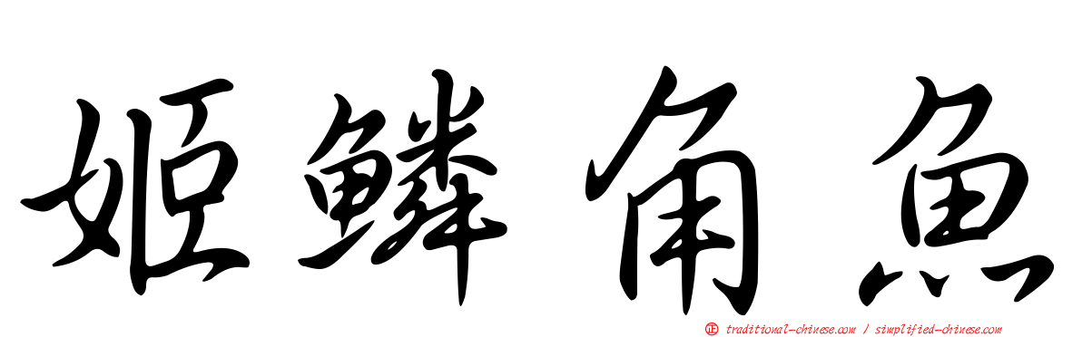 姬鱗角魚