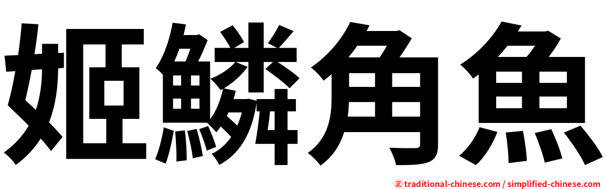 姬鱗角魚