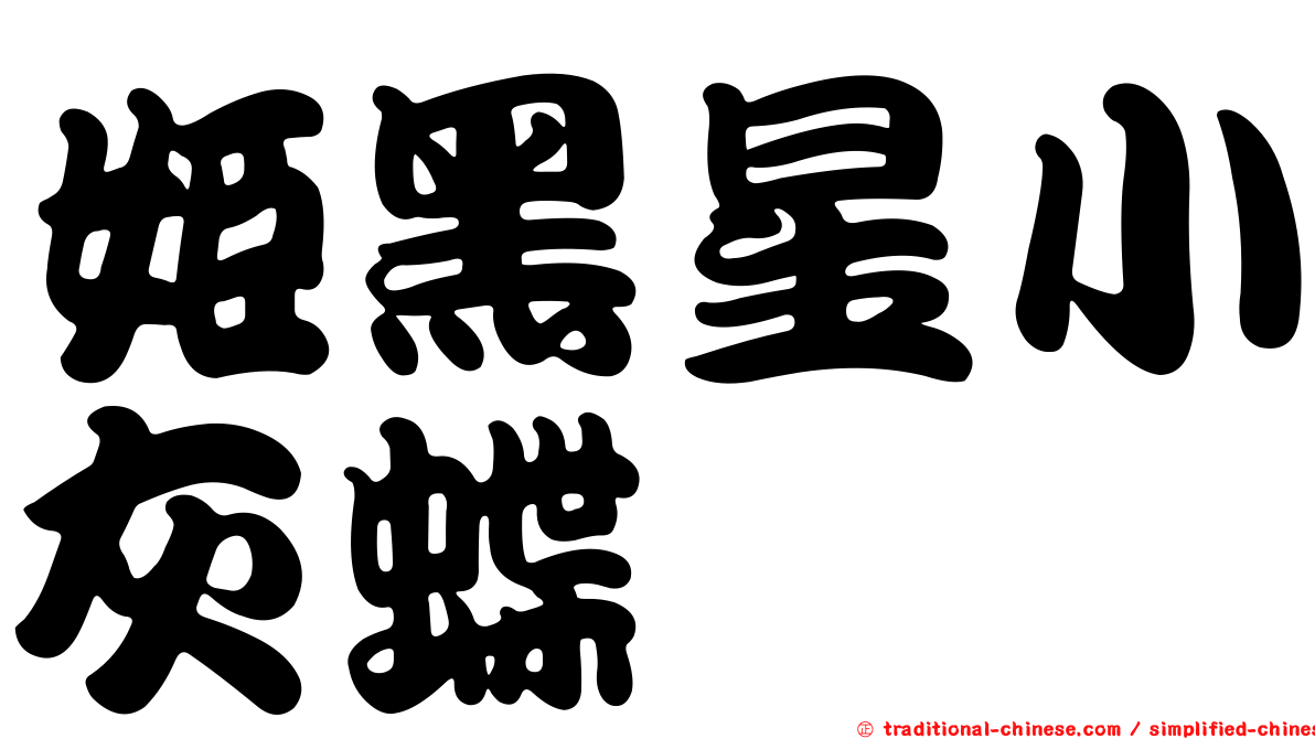 姬黑星小灰蝶