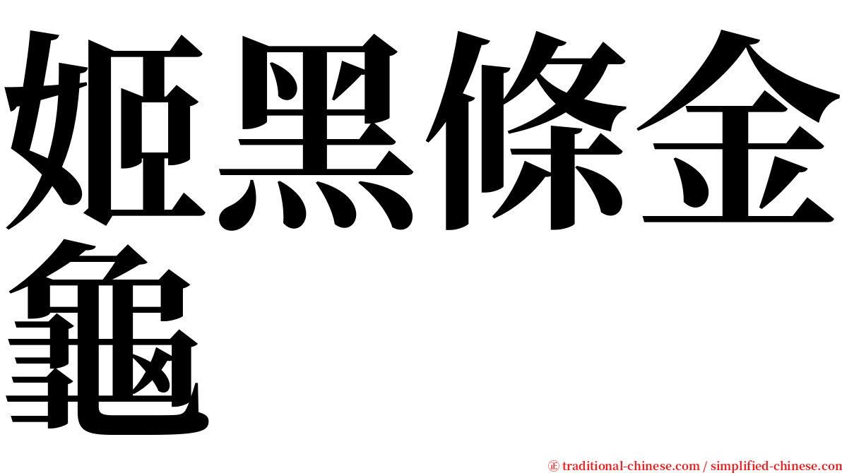 姬黑條金龜 serif font