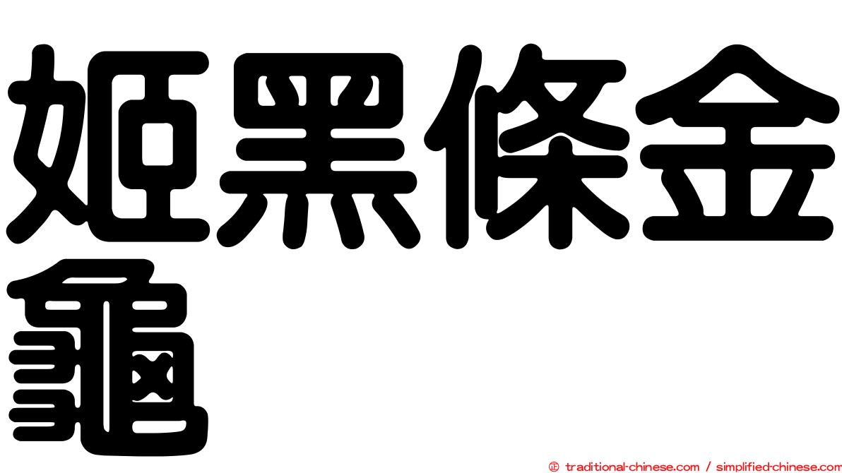 姬黑條金龜