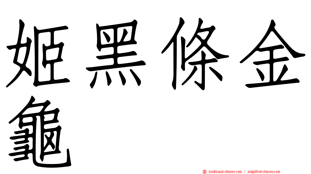 姬黑條金龜