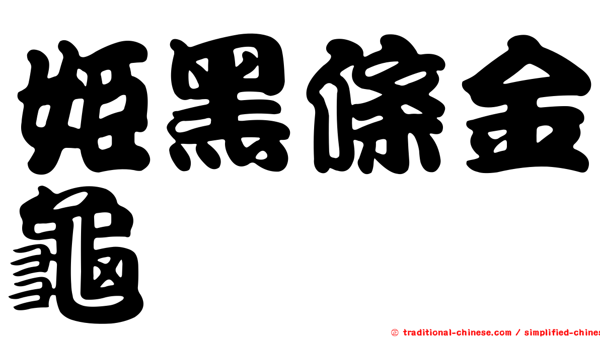 姬黑條金龜