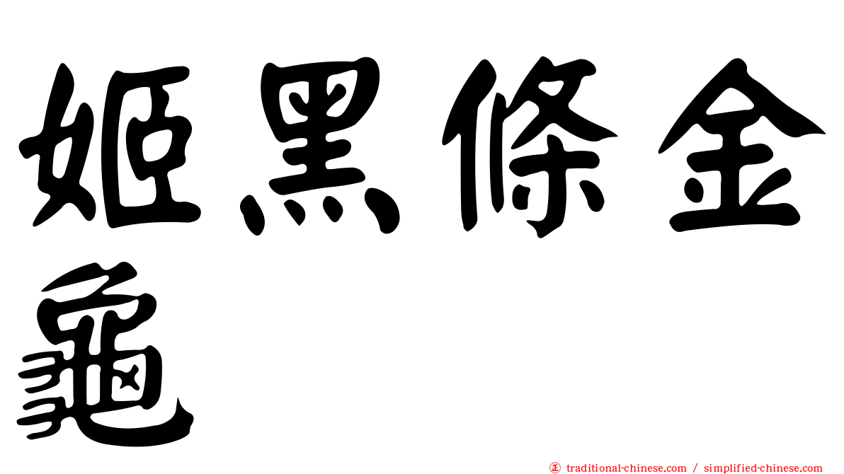 姬黑條金龜