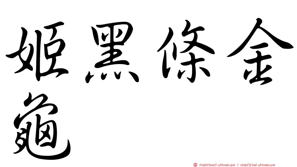 姬黑條金龜
