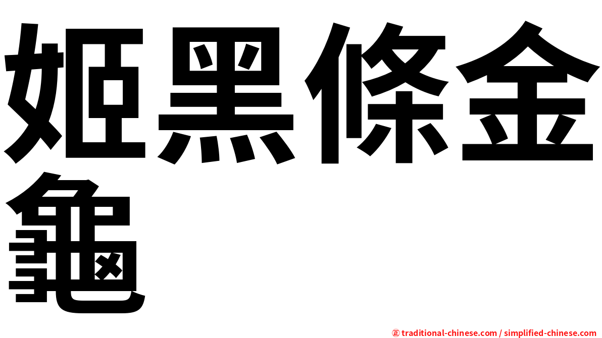 姬黑條金龜