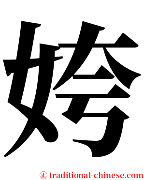 姱 serif font