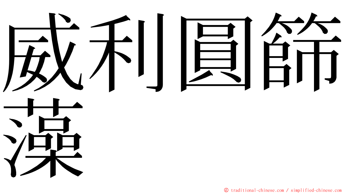 威利圓篩藻 ming font