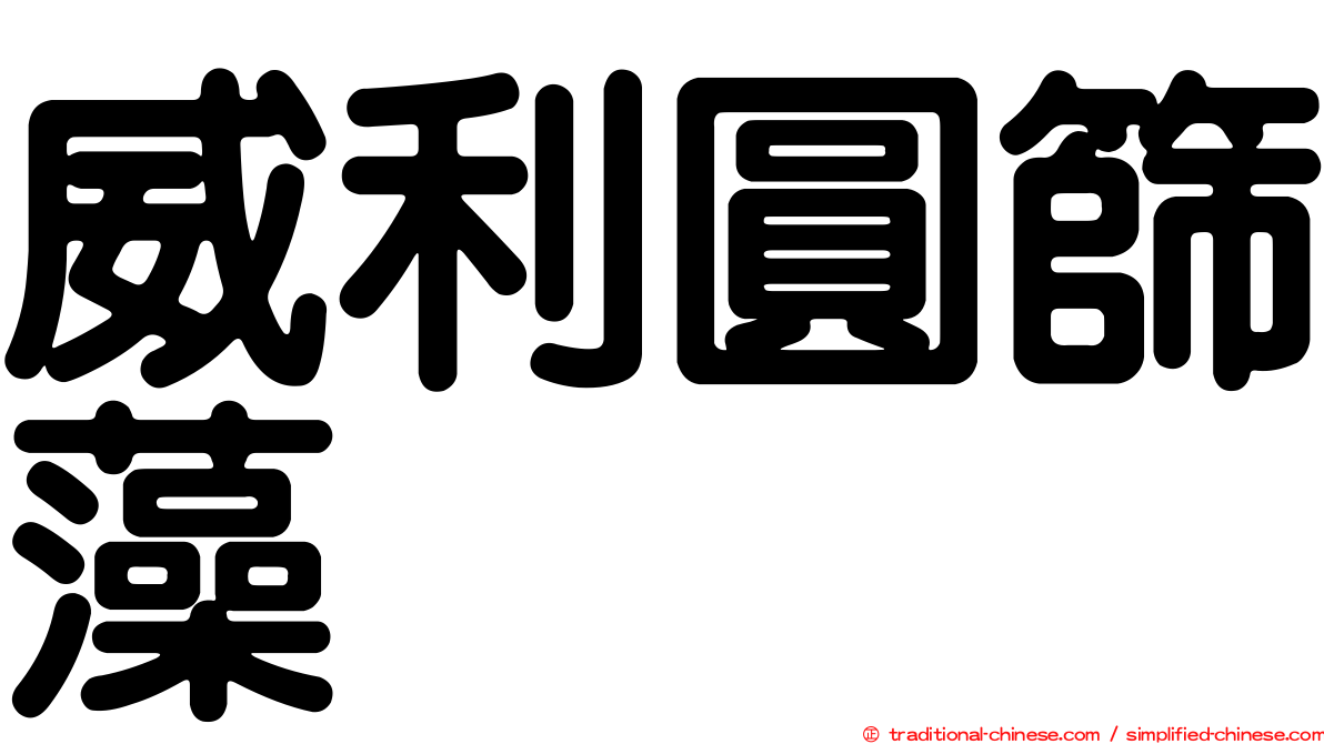 威利圓篩藻