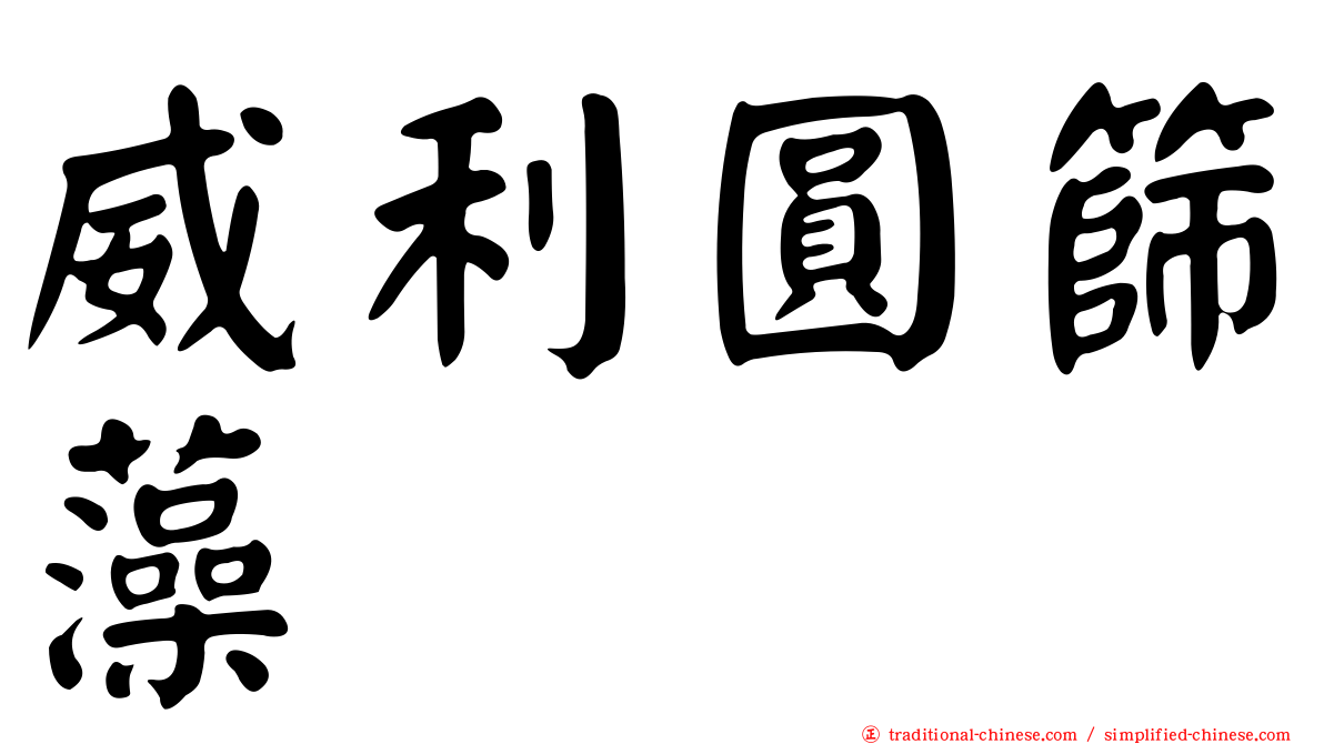 威利圓篩藻