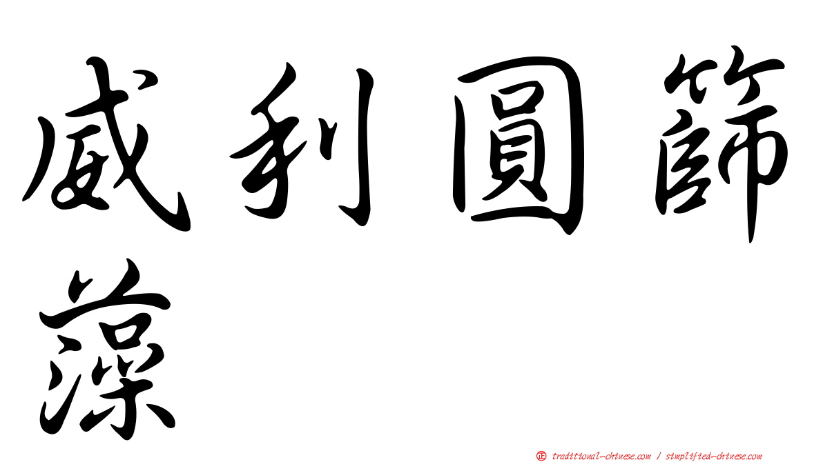 威利圓篩藻