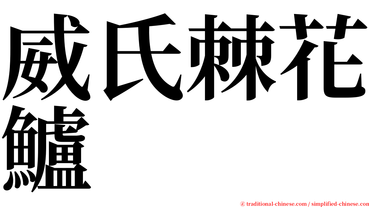 威氏棘花鱸 serif font