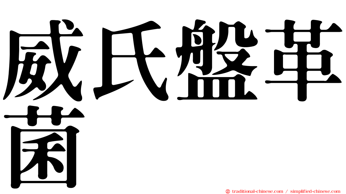 威氏盤革菌