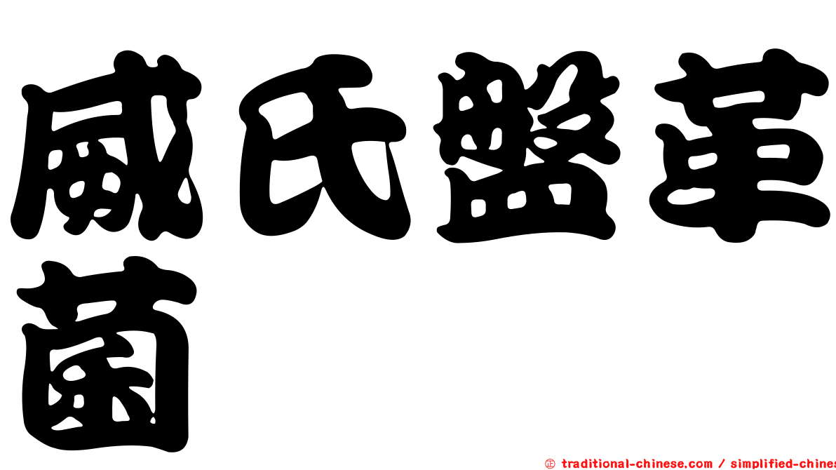 威氏盤革菌