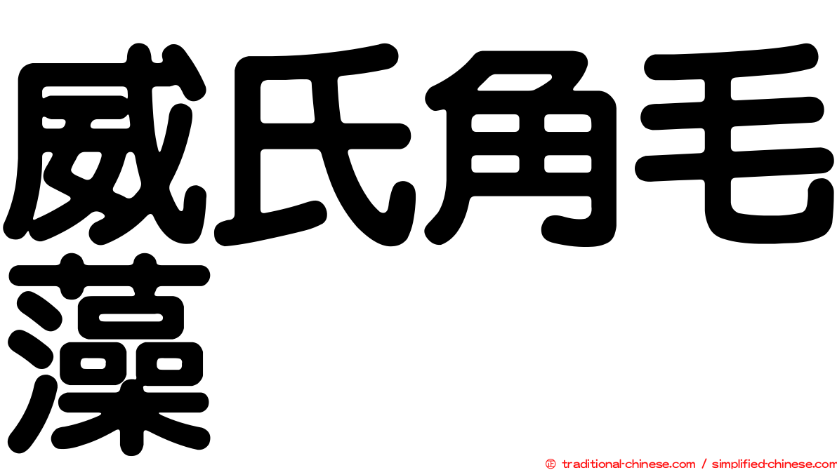 威氏角毛藻