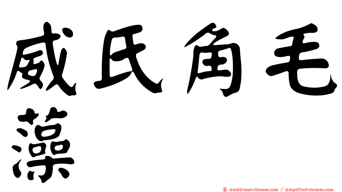 威氏角毛藻