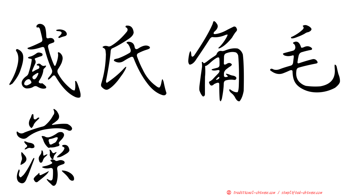 威氏角毛藻