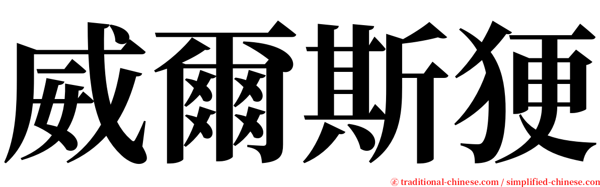 威爾斯㹴 serif font