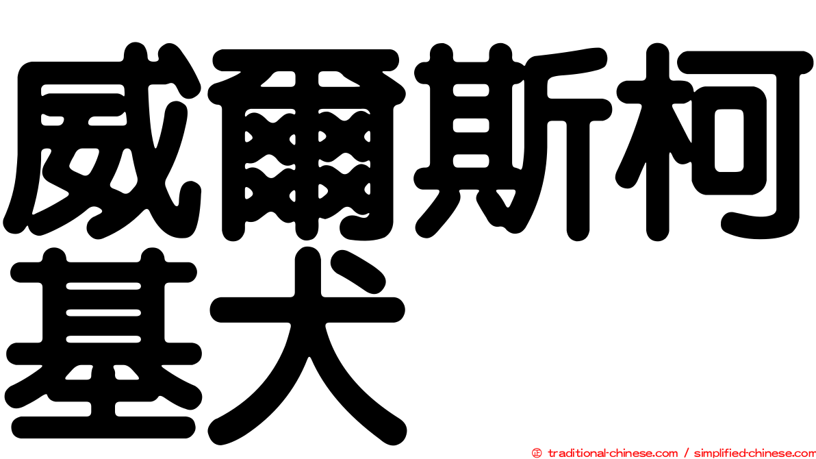威爾斯柯基犬