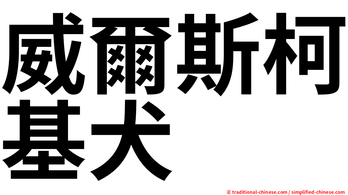威爾斯柯基犬