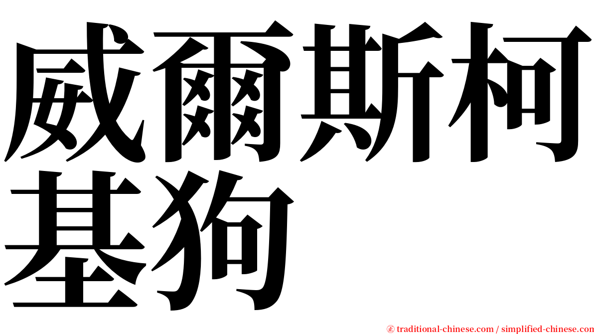 威爾斯柯基狗 serif font