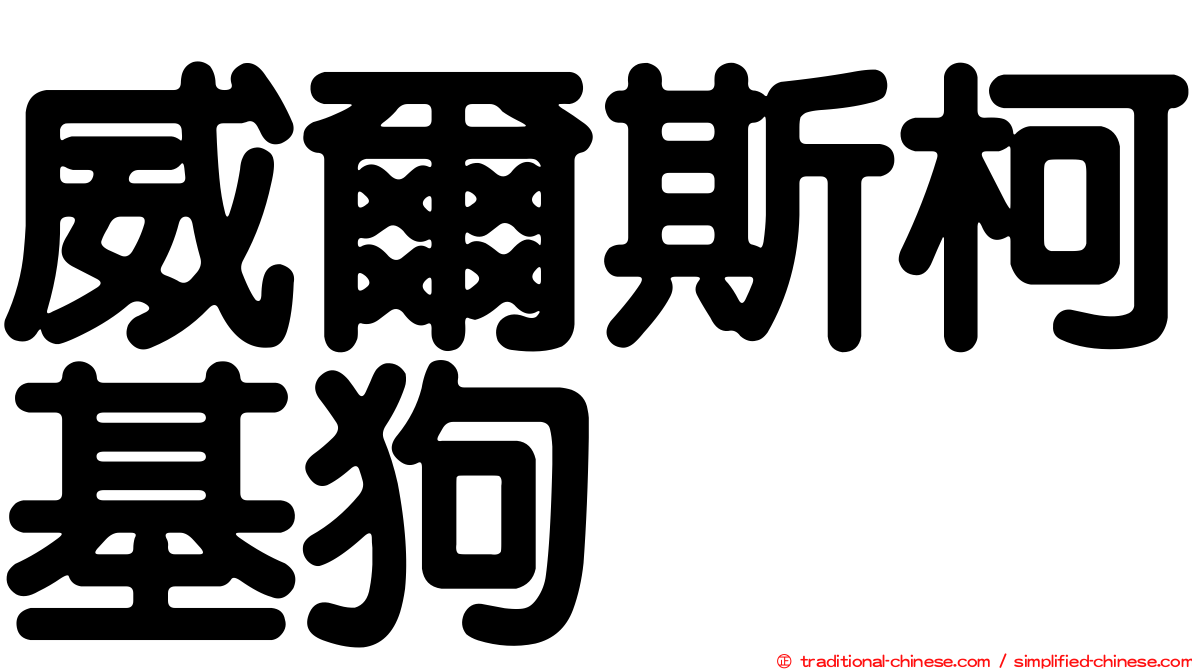 威爾斯柯基狗