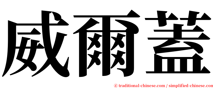 威爾蓋 serif font