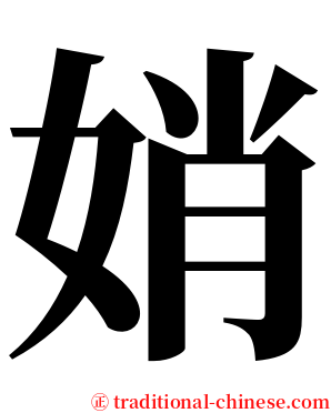 娋 serif font
