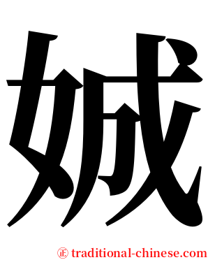 娍 serif font