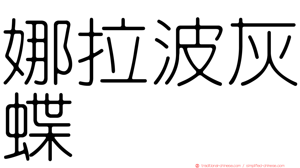 娜拉波灰蝶