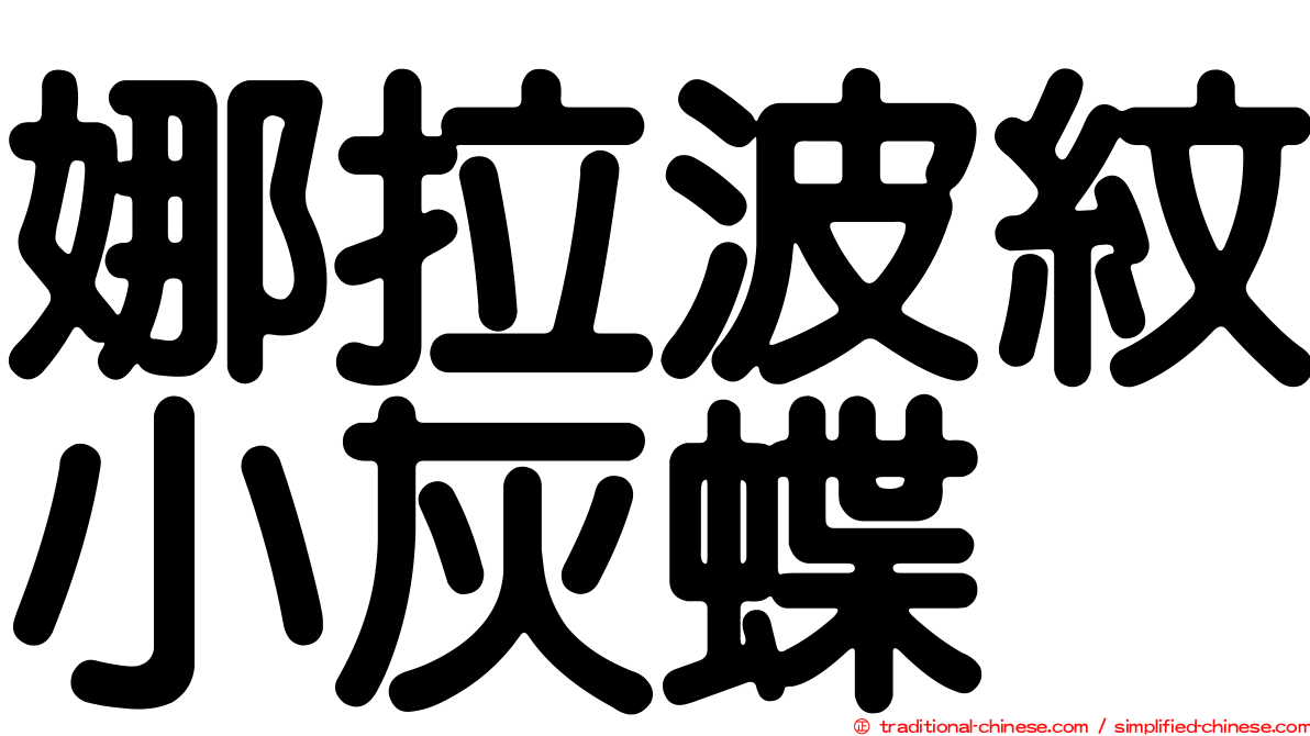 娜拉波紋小灰蝶