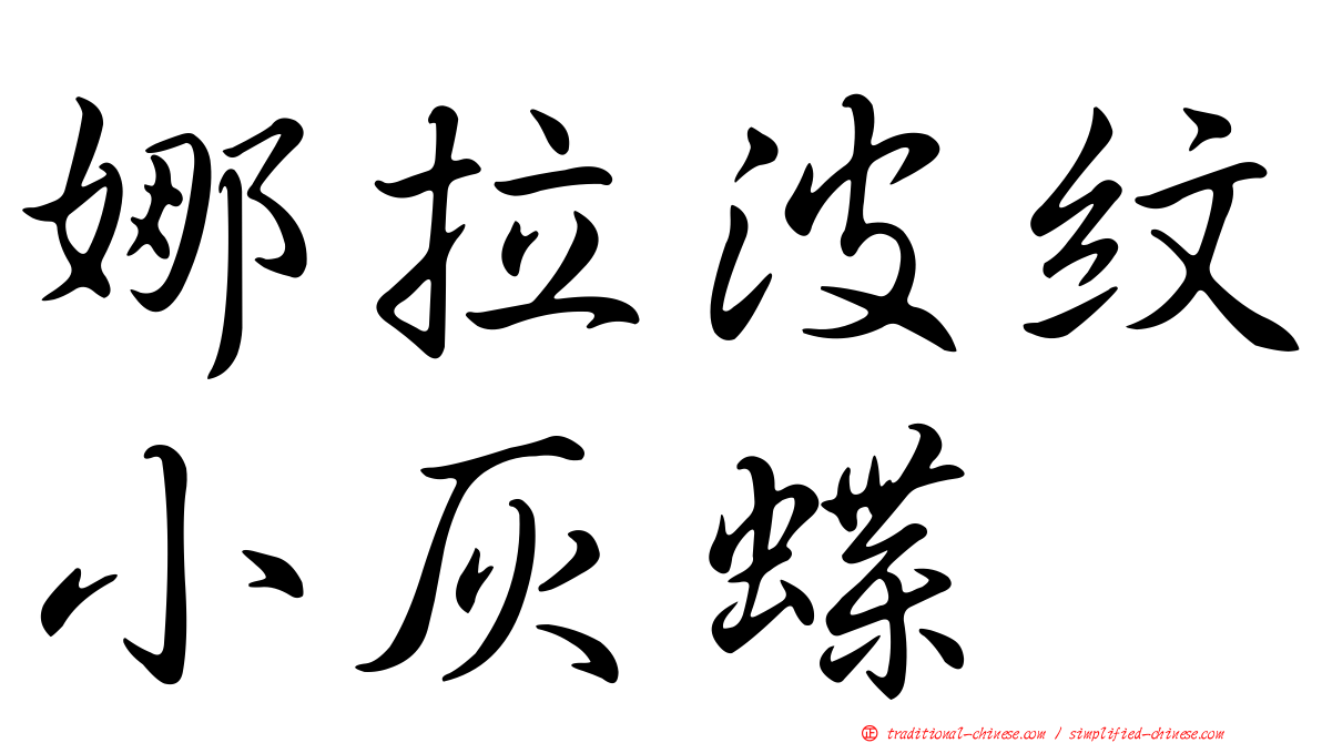 娜拉波紋小灰蝶