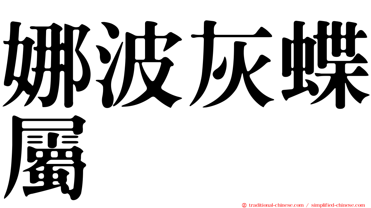 娜波灰蝶屬