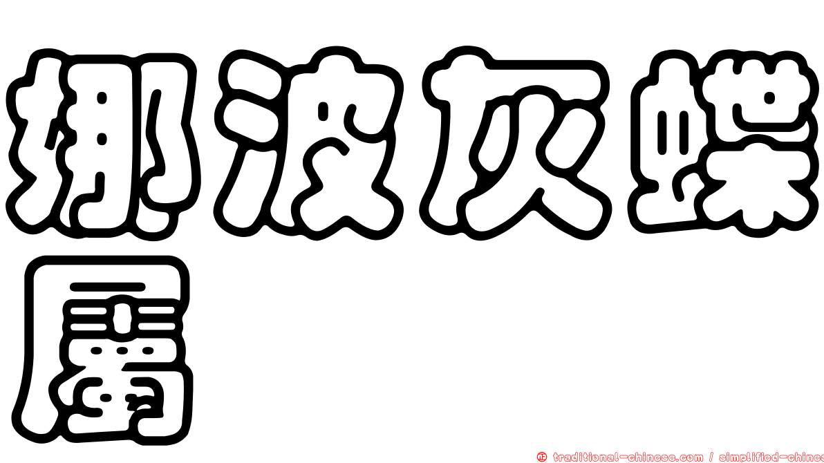 娜波灰蝶屬