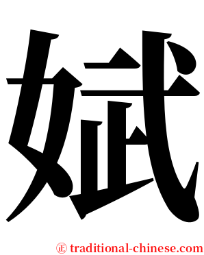 娬 serif font