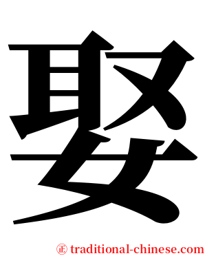 娶 serif font