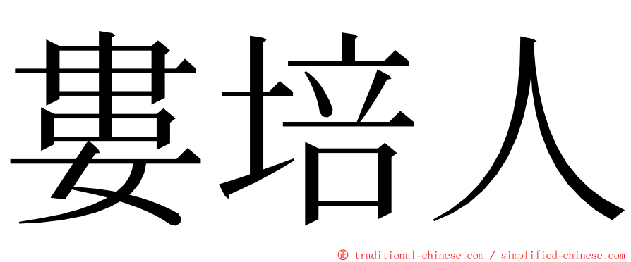 婁培人 ming font