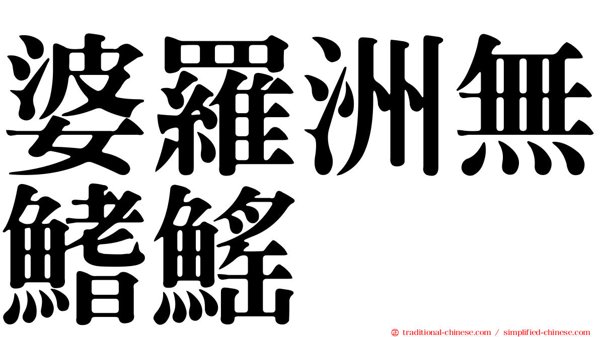 婆羅洲無鰭鰩