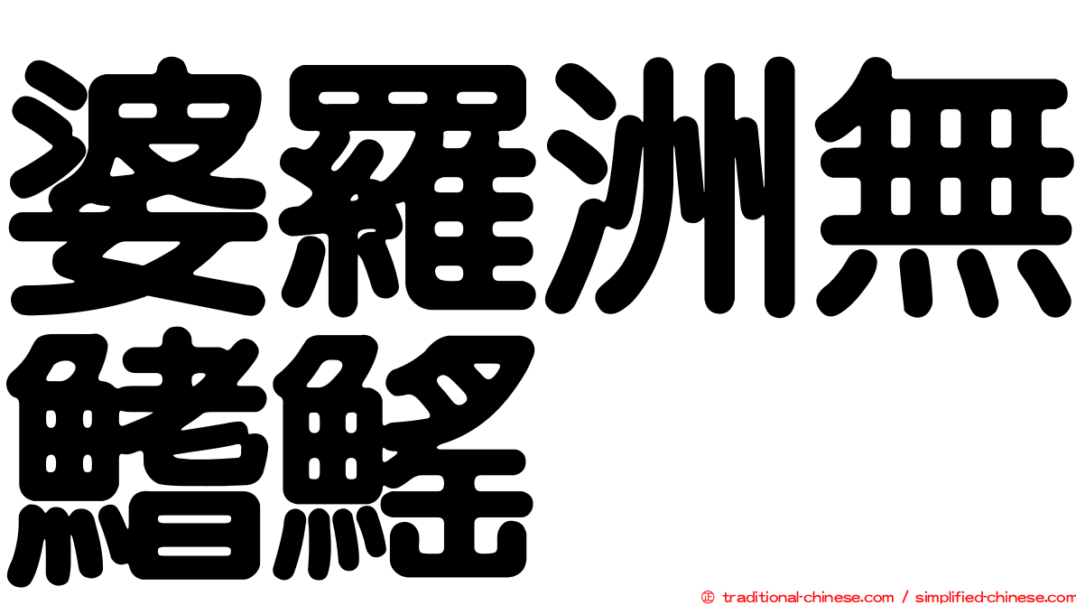 婆羅洲無鰭鰩