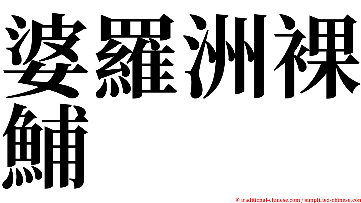 婆羅洲裸鯆 serif font