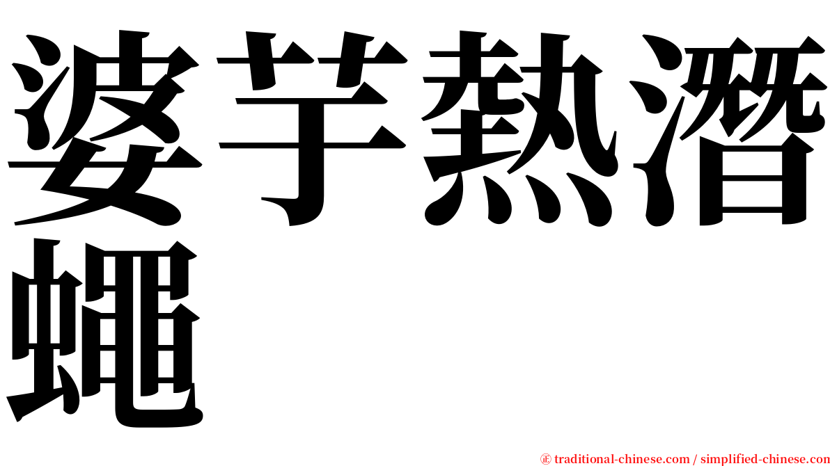 婆芋熱潛蠅 serif font