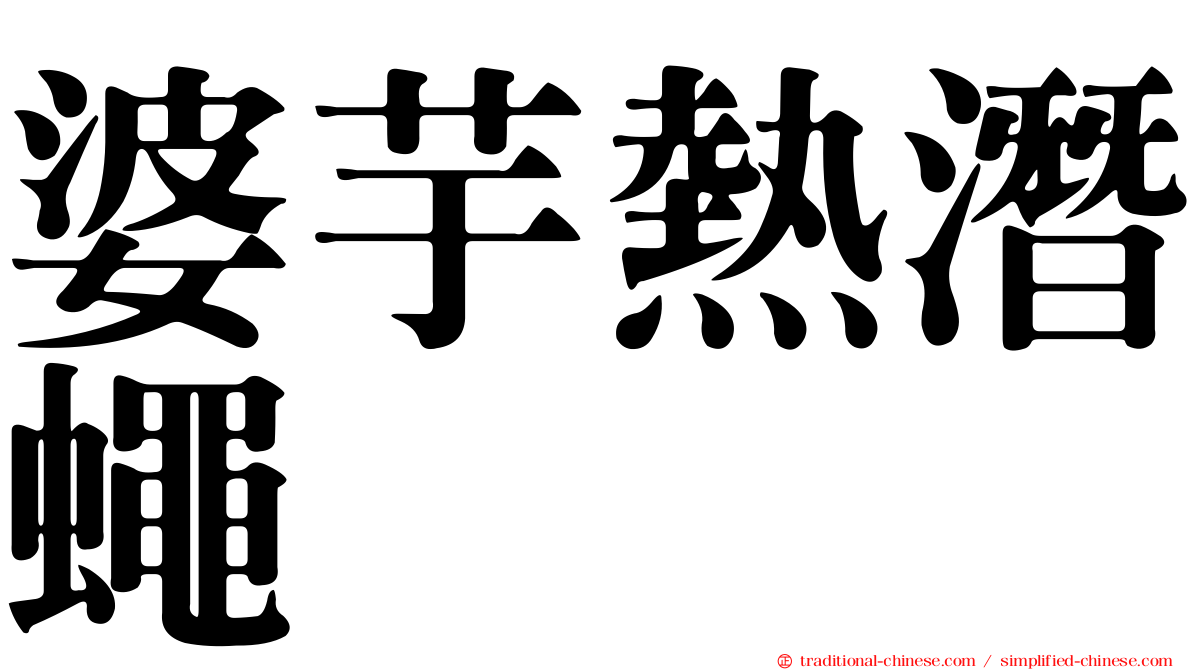 婆芋熱潛蠅