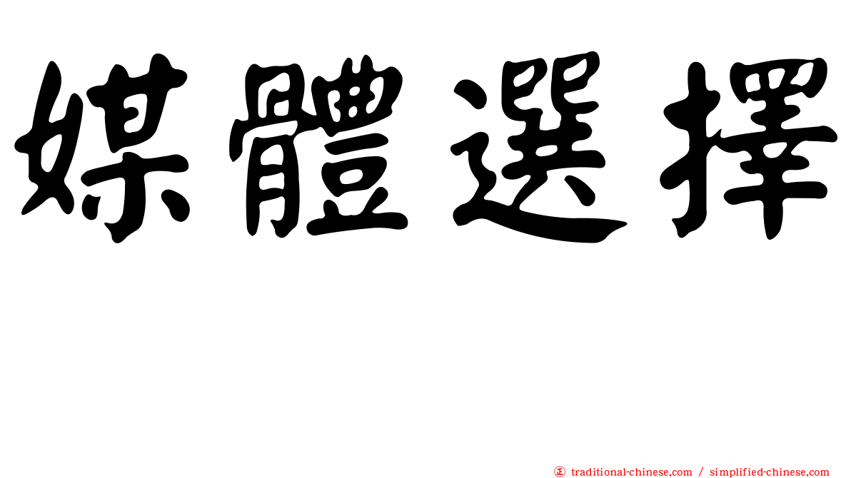 媒體選擇