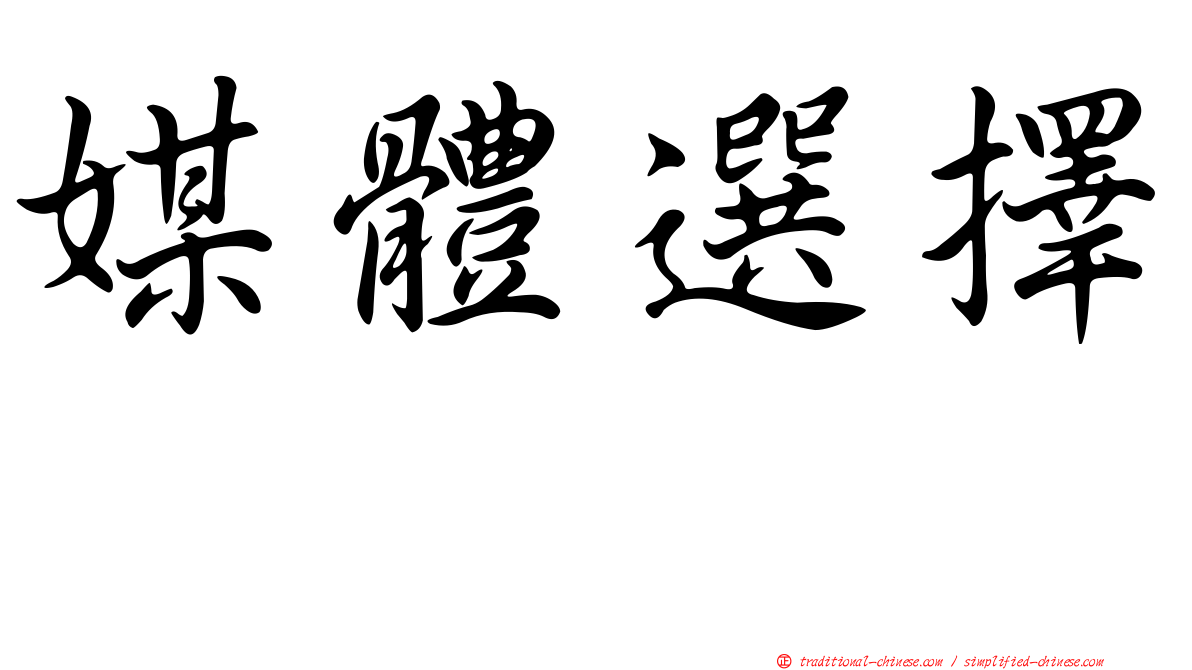 媒體選擇