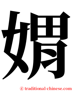 媦 serif font