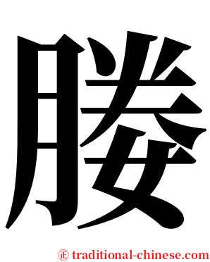 媵 serif font